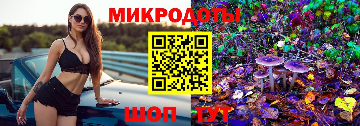 Галлюциногенные грибы Psilocybine cubensis Майский