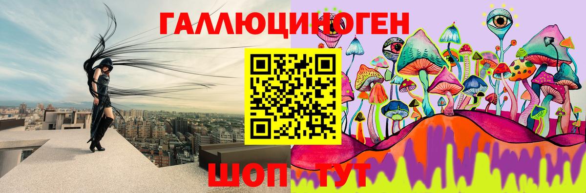 Майский  Псилоцибиновые грибы прущие грибы  Вход с VPN  Галлюциногенные грибы Psilocybine cubensis 